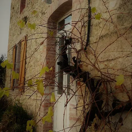 Au Nid Des Vignes * Cahuzac-sur-Vere